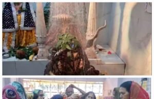 नर्मदा जल की सहस्त्र जल धारा से हुआ भोलेनाथ का अभिषेक..18 को निकलेगी पालकी यात्रा..3100 अभिमंत्रित रुद्राक्षो का होगा वितरण