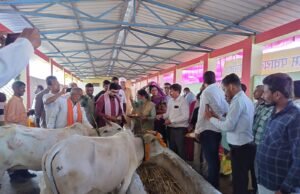 जिला स्तरीय गोवर्धन पूजा एवं संगोष्ठी के कार्यक्रम में शामिल हुए सांसद बंटी विवेक साहू… गौशाला में की गौमाता की पूजा अर्चना