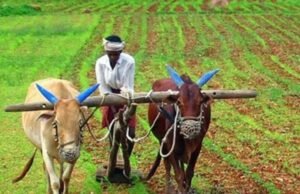 जिले के किसानों से “एमपी फार्मगेट” ऐप का उपयोग कर सुविधा का लाभ लेने की अपील