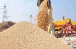 छिंदवाड़ा और पांढुर्णा जिले में गेहूं स्टॉक सीमा लागू ….व्यापारियों से शासन के निर्देशों का पालन करने की अपील