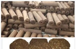 लकड़ी के कम उपयोग एवं प्रदूषण रहित होली मनाने हेतु जिला प्रशासन की पहल : स्टॉल लगाकर विक्रय करेंगे गौशालाओं द्वारा निर्मित कण्डे एवं गौकाष्ठ