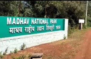 माधव राष्ट्रीय उद्यान बना मध्यप्रदेश का 9वां और देश का 58वां टाइगर रिजर्व