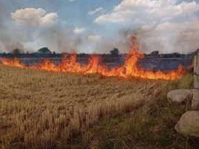 Screenshot_20250420_133727_Samsung Internet