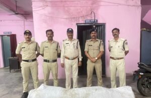 खेत मे हो रही थी गांजे की खेती : पुलिस ने छापामार कार्रवाई कर लगभग पौने दो लाख रुपये कीमत के 17 किलो 500 ग्राम वजनी गांजे के हरे पौधे किये जप्त,आरोपी गिरफ्तार