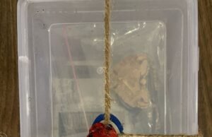 रक्षाबन्धन के दिन चोरी,भुजलिया के दिन पहुंचे जेल : कुंडीपुरा पुलिस ने 24 घंटे के अंदर किया दिनदहाड़े हुई चोरी का खुलासा…तीन आरोपी गिरफ्तार,चोरी गये जेवर व नगदी बरामद