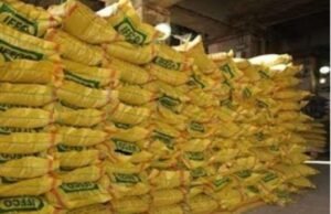 खाद वितरण को लेकर व्यवस्था : कृषि अधिकारियों की निगरानी में होगा वितरण..प्रत्येक प्रतिष्ठान में मूल्य सूची एवं स्टॉक प्रदर्शन अनिवार्य